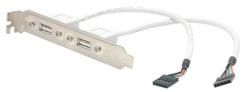 Childrens Toyshop  Electronics : StarTech.com 2-Outlet USB Plate For PC Motherboards