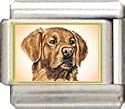 Clearly Charming Golden Retriever Italian Charm