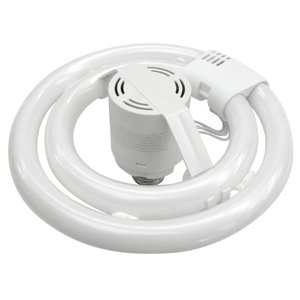 TCP 16943 - 17040L31K Light Bulb