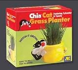 Chia Cat Grass Planter