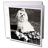 Dogs Maltese - Maltese - Greeting Cards-12 Greeting Cards with envelopes