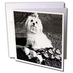 image link -  - B000VG8P8W