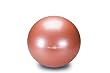 Natural Fitness 65cm Professional Burst-Resistant Exercise Ball (Red Rock) Natural Fitness 65cm Professional Burst-Resistant Exercise Ball (Red Rock)