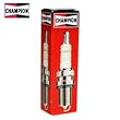 champion lawn mowers sale