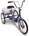 Worksman Port-O-Trike 3Speed Blue