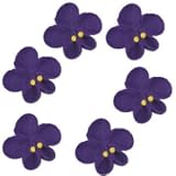 Gourmet Food : Small Violet Drop Flowers
