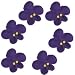 Gourmet Food : Small Violet Drop Flowers
