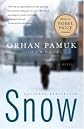 Snow - A Novel