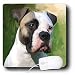 Dogs Bulldog - American Bulldog - Mouse Pads