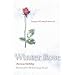 Winter Rose
