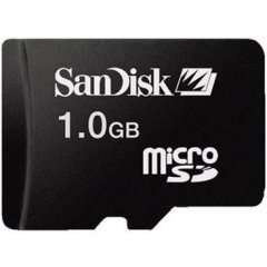 1 GB SanDisk MicroSD TransFlash Memory Card (Bulk)