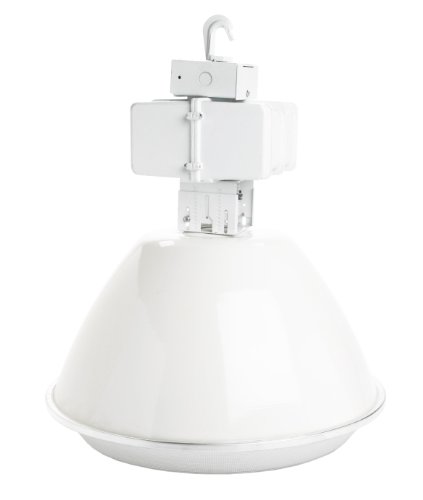 Designers Edge L-1783-400PS-MH 400-Watt and Refractor