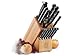 Tramontina Professional Series Set with Block 15-pc.