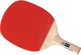 ティエスピー GIANT-PRO100 25360