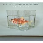 Relativity by  Michael Formanek, Marty Ehrlich, and Peter Erskine 