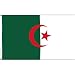 Algeria National Country Flag - 3 foot by 5 foot Polyester (New)