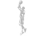 Basketball Jumpshot Sudden Shadows Wall Mural