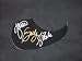 The Dixie Chicks Wide Open Spaces Signed Autographed Acoustic Guitar Pickguard