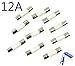 BCP Pack of 10 pcs T12a 12A 250V Ceramic Fuses 5 x 20 mm (12amp)