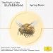 The Flight of The Bumblebee - Spring Music