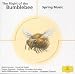 Music : The Flight of The Bumblebee - Spring Music