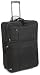 31NBZzmW1EL. SL75  Luggage