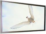 Draper Onyx HDTV Format Fixed Frame Wall Projection Screen with Vel-Tex Covering, 58 x 104, M1300 Matte White Surface.