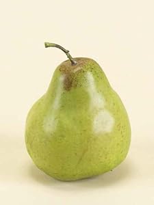 k of 24 Farmer's Market Artificial Green Pears 