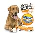 Crazy Critters Stuffing Free Dog Toy- Fox