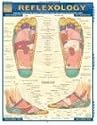 Reflexology (Quickstudy