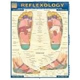 Reflexology Laminated Reference Guide (Quick Study Academic Outline)