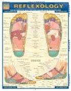 Reflexology (Quick Study Academic Outline)