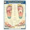 Reflexology (Quickstudy: Academic)