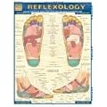 Reflexology (Quickstudy: Academic)