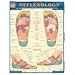Reflexology (Quickstudy: Academic)