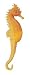 Yellow Seahorse, Wild Safari