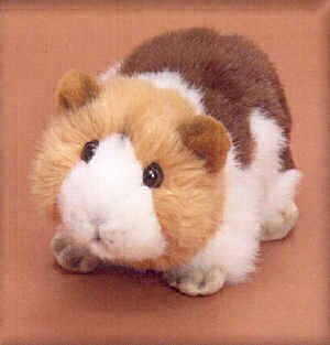 Plush Gilda Guinea Pig 8