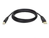 Tripp Lite 15ft USB Ab Cable USBa/usbb Gold Conn