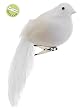 7" White Feathered Long-Tail Clip-On Bird Christmas Ornament
