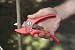 Florian 601 RED Ratchet Pruner without Holster