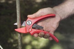 florian pruners:Florian 701 RED Pruner without Holster Images