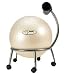 FitBALL® Chair (Exercise Ball Chair)