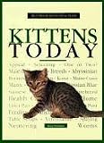 Kittens Today