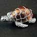 Turtle Jeweled Box