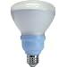 GE 61164 Reveal 15-Watt Indoor Floodlight R30 Compact Fluorescent Bulb