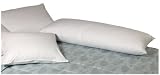 Pacific Coast Feather Down Around Body Pillow