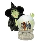 Wizard of Oz Wicked Witch Salt and Pepper Shaker Set