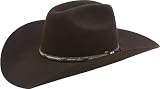 Bailey Western Men's Hollister Hat