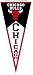 NBA Chicago Bulls Classic Wool Pennant