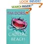Cadillac Beach [Audio Cd] [Unabridged] [Cd] (Serge A. Storms)